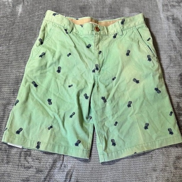 Izod Other - IZOD Saltwater Beachtown Shorts Mens 32X10 Mint Green Pineapple Embroidered.